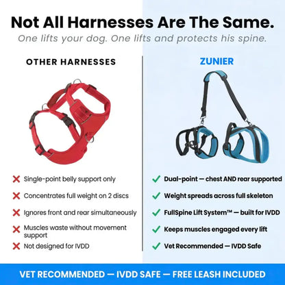 Meet the #1 Vet-Recommended Spinal Support Harness for IVDD & Post-Surgery Dogs