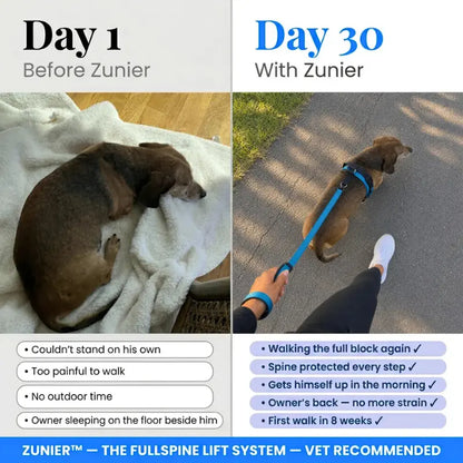 Meet the #1 Vet-Recommended Spinal Support Harness for IVDD & Post-Surgery Dogs