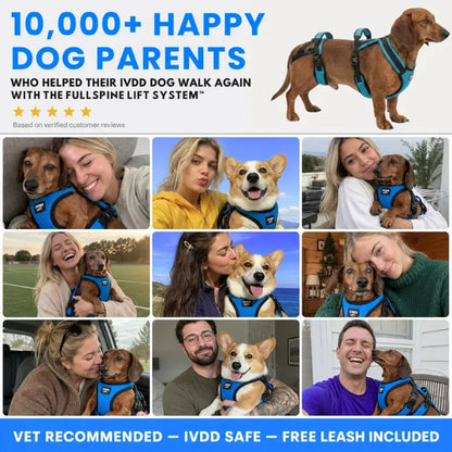 Meet the #1 Vet-Recommended Spinal Support Harness for IVDD & Post-Surgery Dogs