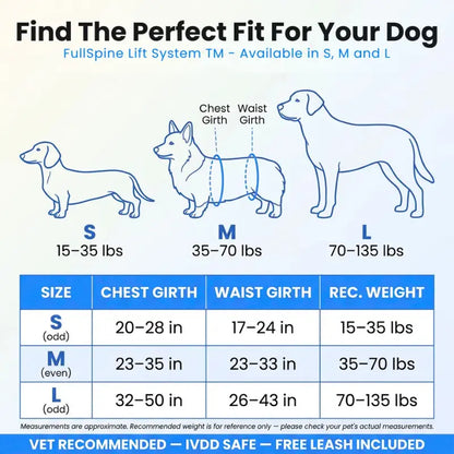 Meet the #1 Vet-Recommended Spinal Support Harness for IVDD & Post-Surgery Dogs
